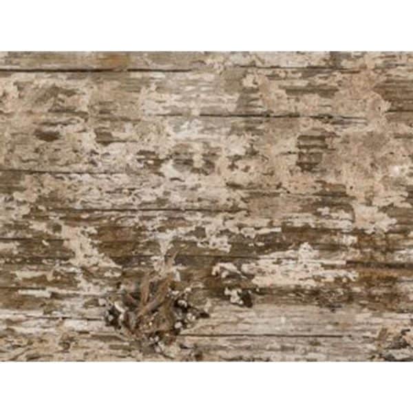 Bodenfliese Feinsteinzeug Braun Matt 90 cm x 15 cm
