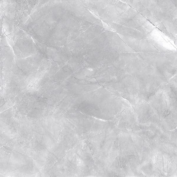 Bodenfliese Feinsteinzeug Grau 60 cm x 60 cm