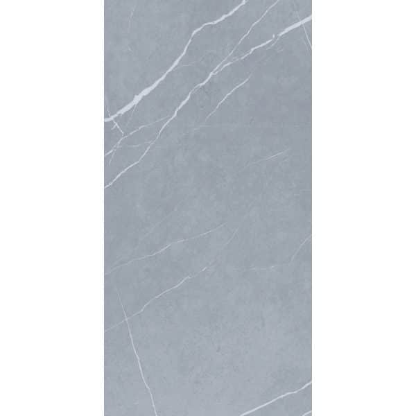 Bodenfliese Feinsteinzeug Grau Glasiert Matt 60 cm x 120 cm