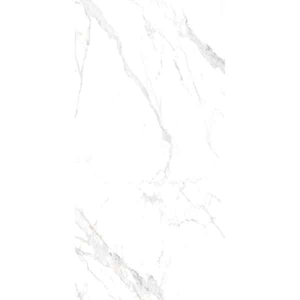 Bodenfliese Feinsteinzeug Weiß Glasiert Matt 60 cm x 120 cm