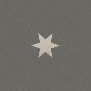 Vabene Dekorfliese Bellissima Stern Grigio 60 cm x 60 cm